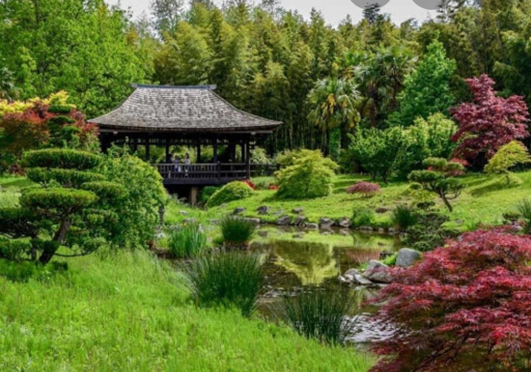 Charmant Chalet Pour 2 Personnes Spa Prive Massillargues-Attuech 외부 사진